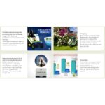 etesia-m2e-bahia-elektro-selbstfahrer (2)